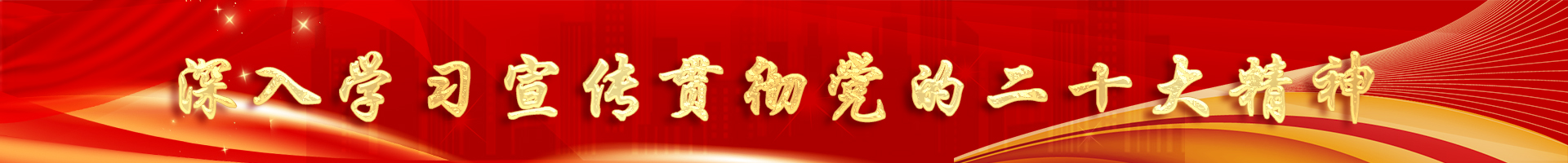 喜迎二十大，奮進(jìn)新征程 